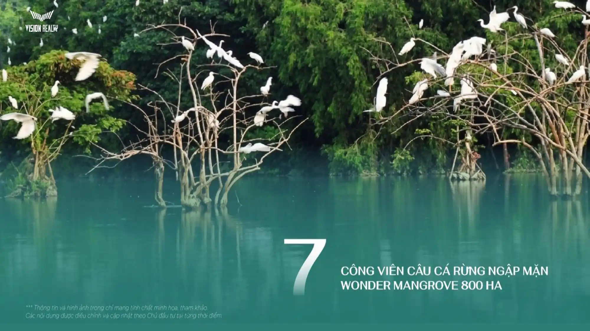 Cong vien cau ca rung ngap man Wonder Mangrove 800 ha